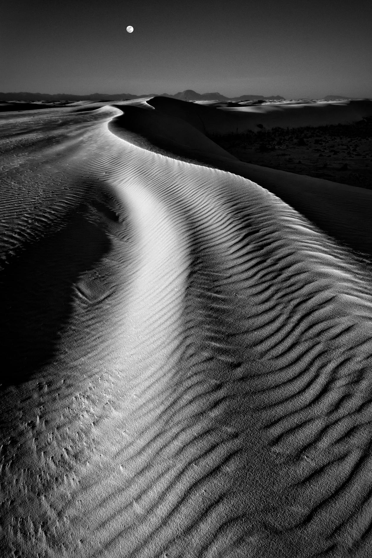 In the Silence of the Sahara