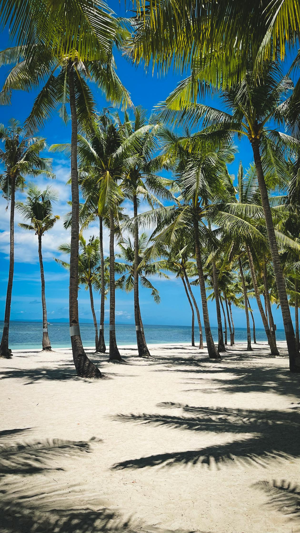 Mozambique
